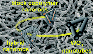 Graphical abstract: Hierarchically porous tungsten oxide nanotubes with crystalline walls made of the metastable orthorhombic polymorph