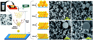 Graphical abstract: Enhanced charge collection efficiency of dye-sensitized solar cells based on size-tunable hierarchically structured TiO2 beads