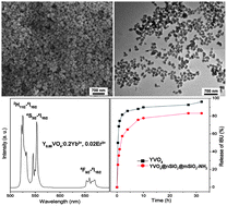 Graphical abstract: Preparation and drug-delivery properties of hollow YVO4:Ln3+ and mesoporous YVO4:Ln3+@nSiO2@mSiO2 (Ln = Eu, Yb, Er, and Ho)