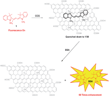 Graphical abstract: Interaction of Cy3 dye with CCG and its application for BSA detection