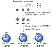 Graphical abstract: Zirconia-doped nanoparticles: organic coating, polymeric entrapment and application as dual-imaging agents