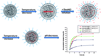 Graphical abstract: Multifunctional hybrid silica nanoparticles for controlled doxorubicin loading and release with thermal and pH dual response