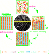 Graphical abstract: Anisotropic tough poly(2-hydroxyethyl methacrylate) hydrogels fabricated by directional freezing redox polymerization