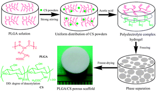 Graphical abstract: Fabrication of poly(l-glutamic acid)/chitosan polyelectrolyte complex porous scaffolds for tissue engineering