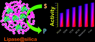 Graphical abstract: Controlling performance of lipase immobilised on bioinspired silica