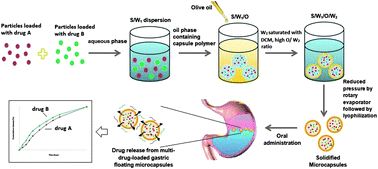 Graphical abstract: Gastric-floating microcapsules provide controlled and sustained release of multiple cardiovascular drugs