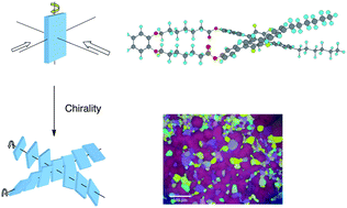Graphical abstract: U-shaped oligomers with a molecular biaxiality stabilizing blue phases
