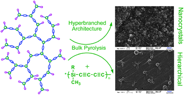 Graphical abstract: Magnetoceramic nanocrystals from the bulk pyrolysis of novel hyperbranched polyferrocenyl(boro)carbosilanes