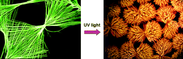 Graphical abstract: Architectural transformation of the nanoparticle superstructures induced by ultraviolet light irradiation and their application in photoelectrochemical switch devices