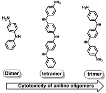 Graphical abstract: Cellular responses of aniline oligomers: a preliminary study