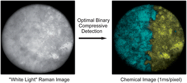 Graphical abstract: Digital compressive chemical quantitation and hyperspectral imaging