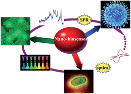 Graphical abstract: Advances in nano-scaled biosensors for biomedical applications
