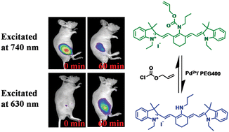Graphical abstract: A near-infrared and ratiometric fluorescent chemosensor for palladium