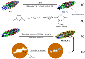 Graphical abstract: Selective solid-phase extraction of naproxen drug from human urine samples using molecularly imprinted polymer-coated magnetic multi-walled carbon nanotubes prior to its spectrofluorometric determination