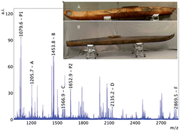 Graphical abstract: Identification of collagen-based materials in cultural heritage
