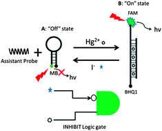 Graphical abstract: A reversible fluorescent logic gate for sensing mercury and iodide ions based on a molecular beacon