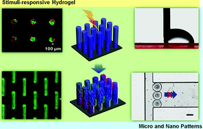 Graphical abstract: Stimuli-responsive hydrogel patterns for smart microfluidics and microarrays
