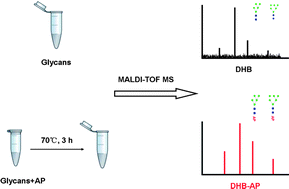 Graphical abstract: Improved analysis of oligosaccharides for matrix-assisted laser desorption/ionization time-of-flight mass spectrometry using aminopyrazine as a derivatization reagent and a co-matrix