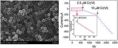 Graphical abstract: Sensitive and selective electrochemical detection of chromium(vi) based on gold nanoparticle-decorated titania nanotube arrays