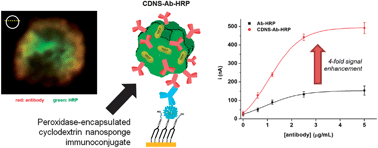 Graphical abstract: Peroxidase-encapsulated cyclodextrin nanosponge immunoconjugates as a signal enhancement tool in optical and electrochemical assays
