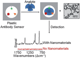 Graphical abstract: Advancements in nanosensors using plastic antibodies