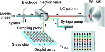 Graphical abstract: Coupling liquid chromatography/mass spectrometry detection with microfluidic droplet array for label-free enzyme inhibition assay