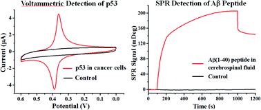Graphical abstract: Electroanalytical and surface plasmon resonance sensors for detection of breast cancer and Alzheimer's disease biomarkers in cells and body fluids