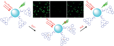 Graphical abstract: A two-photon “turn-on” fluorescent probe based on carbon nanodots for imaging and selective biosensing of hydrogen sulfide in live cells and tissues