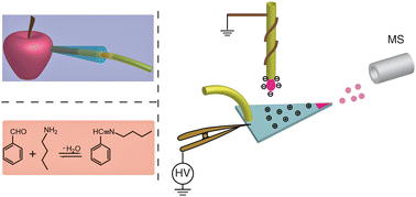 Graphical abstract: Development and applications of paper-based electrospray ionization-mass spectrometry for monitoring of sequentially generated droplets