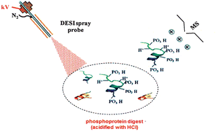 Graphical abstract: Highly efficient ionization of phosphopeptides at low pH by desorption electrospray ionization mass spectrometry