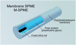 Graphical abstract: Determination of volatile organic compounds in water samples using membrane-solid phase microextraction (M-SPME) (headspace version)