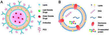 Graphical abstract: Analytical techniques for single-liposome characterization