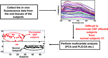 Graphical abstract: Discrimination of oral submucous fibrosis (OSF) affected oral tissues from healthy oral tissues using multivariate analysis of in vivo fluorescence spectroscopic data: A simple and fast procedure for OSF diagnosis