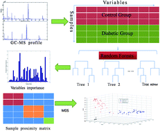 Graphical abstract: Interpretation of type 2 diabetes mellitus relevant GC-MS metabolomics fingerprints by using random forests