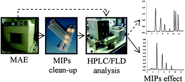 Graphical abstract: Molecularly imprinted polymer-liquid chromatography/fluorescence for the selective clean-up of hydroxylated polycyclic aromatic hydrocarbons in soils