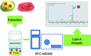 Graphical abstract: Supercritical fluid chromatography-tandem mass spectrometry for the analysis of lipid A