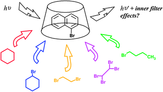 Graphical abstract: Room temperature phosphorescence of the 1-bromonaphthalene/β-cyclodextrin inclusion complex: comparison between right-angle and front-face illumination geometry
