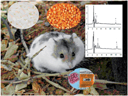 Graphical abstract: Analysis of four anticoagulants rodenticides in foodstuff and body fluids by high-performance liquid chromatography with photodiode-array detector