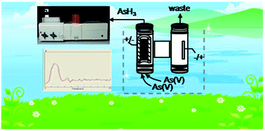 Graphical abstract: On-line electrokinetic extraction and electrochemical hydride generation coupled with atomic fluorescence spectrometry for inorganic arsenic speciation in water samples