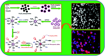 Graphical abstract: Facile preparation of multifunctional hollow silica nanoparticles and their cancer specific targeting effect