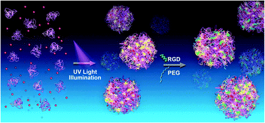Graphical abstract: Photo synthesis of protein-based drug-delivery nanoparticles for active tumor targeting