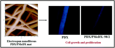 Graphical abstract: Poly(ester-ether)s: II. Properties of electrospun nanofibres from polydioxanone and poly(methyl dioxanone) blends and human fibroblast cellular proliferation