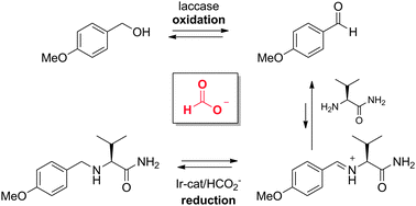 Graphical abstract: Potassium formate as a small molecule switch: controlling oxidation–reduction behaviour in a two-step sequence