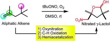 Graphical abstract: Multifunctionalization of alkenes via aerobic oxynitration and sp3 C–H oxidation