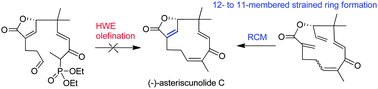 Graphical abstract: A 12-membered to a strained 11-membered ring: first stereoselective total synthesis of (−)-asteriscunolide C