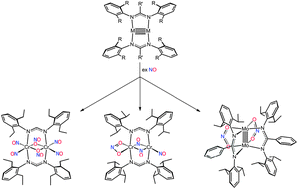 Graphical abstract: Divergent reactivity of nitric oxide with metal–metal quintuple bonds
