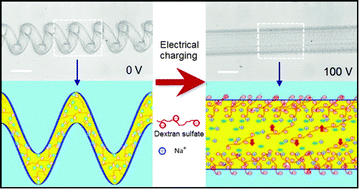 Graphical abstract: Manipulation of viscous all-aqueous jets by electrical charging