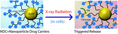 Graphical abstract: X-ray triggered release of doxorubicin from nanoparticle drug carriers for cancer therapy