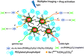 Graphical abstract: QD-filled micelles which combine SPECT and optical imaging with light-induced activation of a platinum(iv) prodrug for anticancer applications