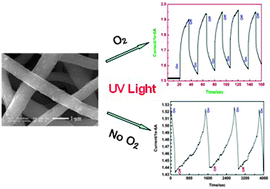 Graphical abstract: Synthesis of TiO2–polyaniline core–shell nanofibers and their unique UV photoresponse based on different photoconductive mechanisms in oxygen and non-oxygen environments